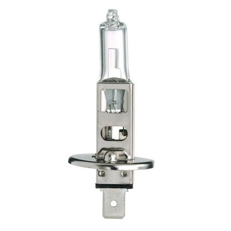 Lampada H1 24V