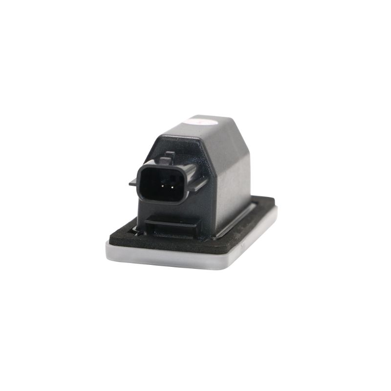 Kit Luce targa nuove Nissan Qashqai e Dacia Duster (2PCS)